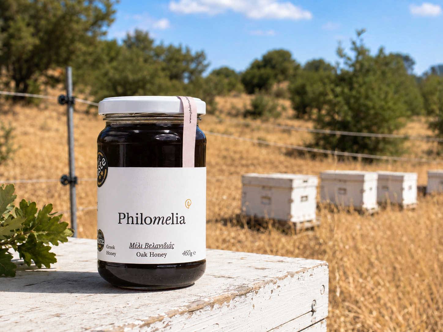Μέλι Βελανιδιάς Philomelia 460g