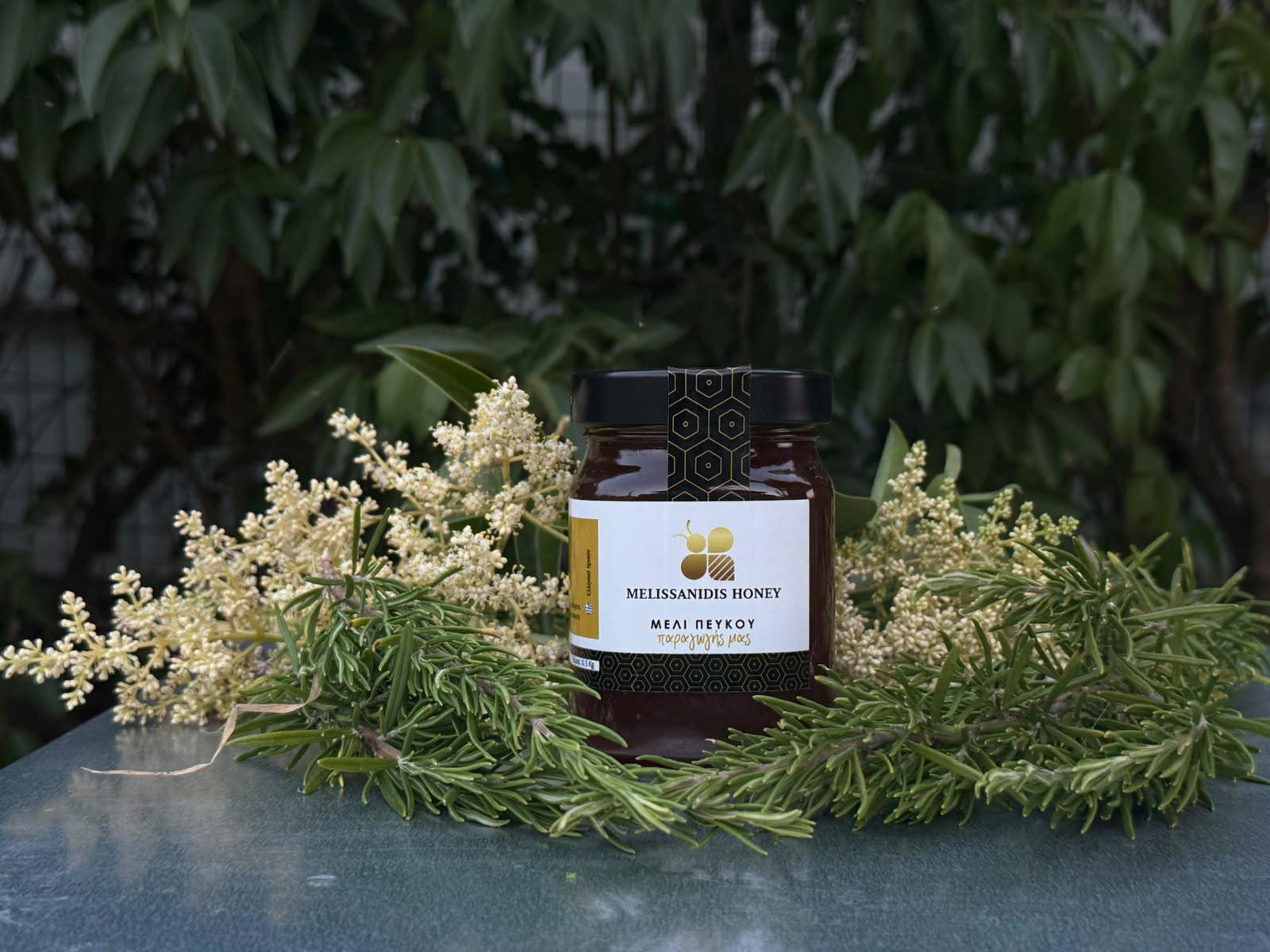 Μέλι Πεύκου Melissanidis 450g