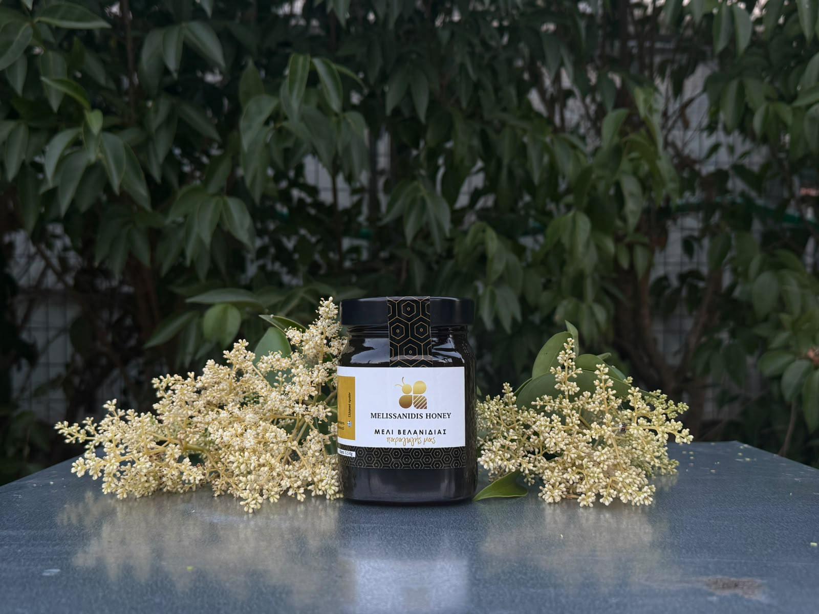 Μέλι Βελανιδιάς Melissanidis 450g