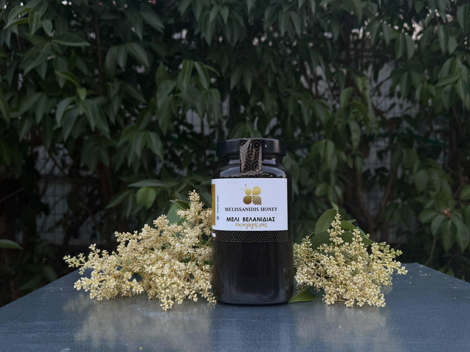 Μέλι Βελανιδιάς Melissanidis 950g