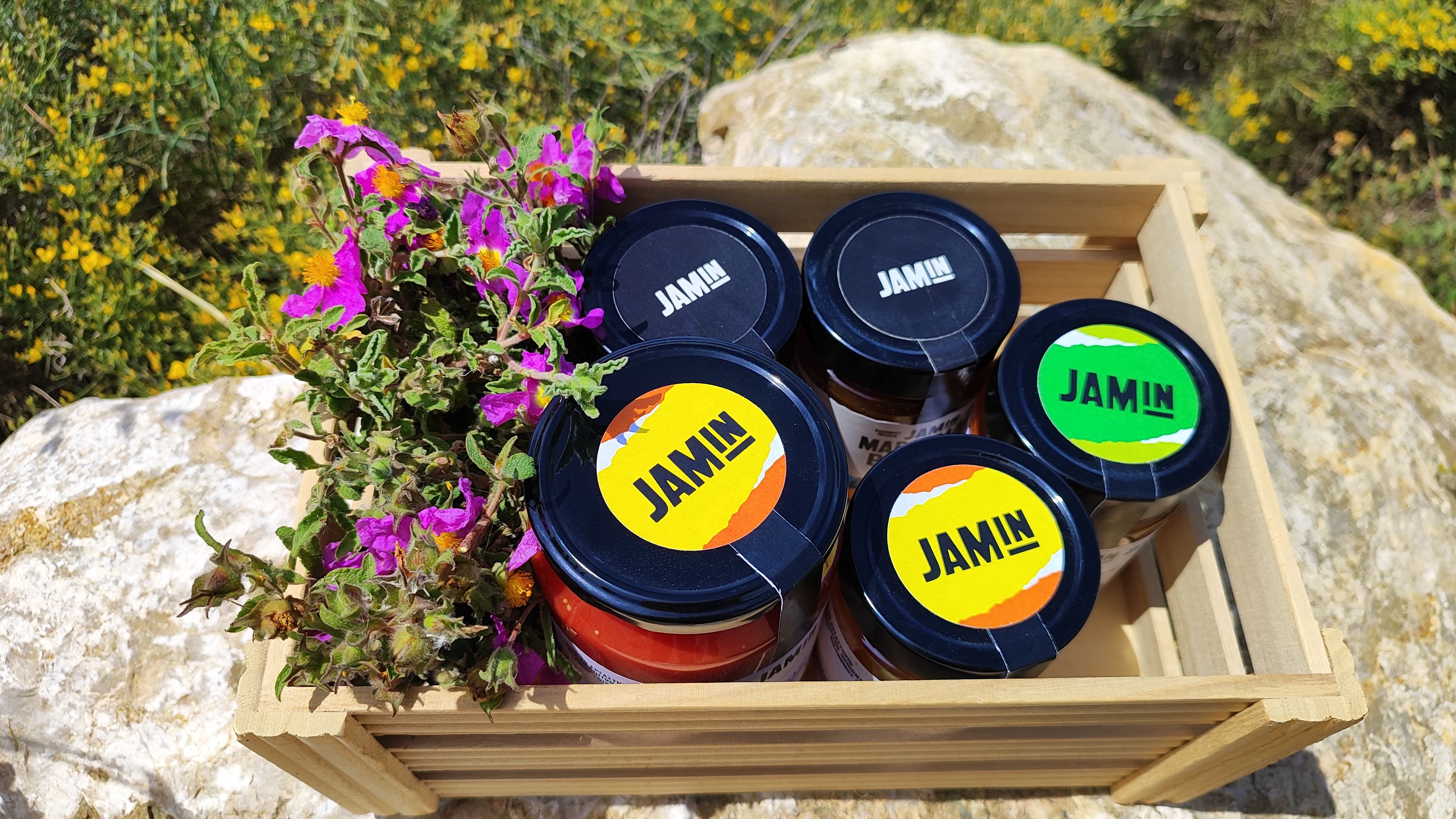 Αλέξανδρος & Άννα | JAMin