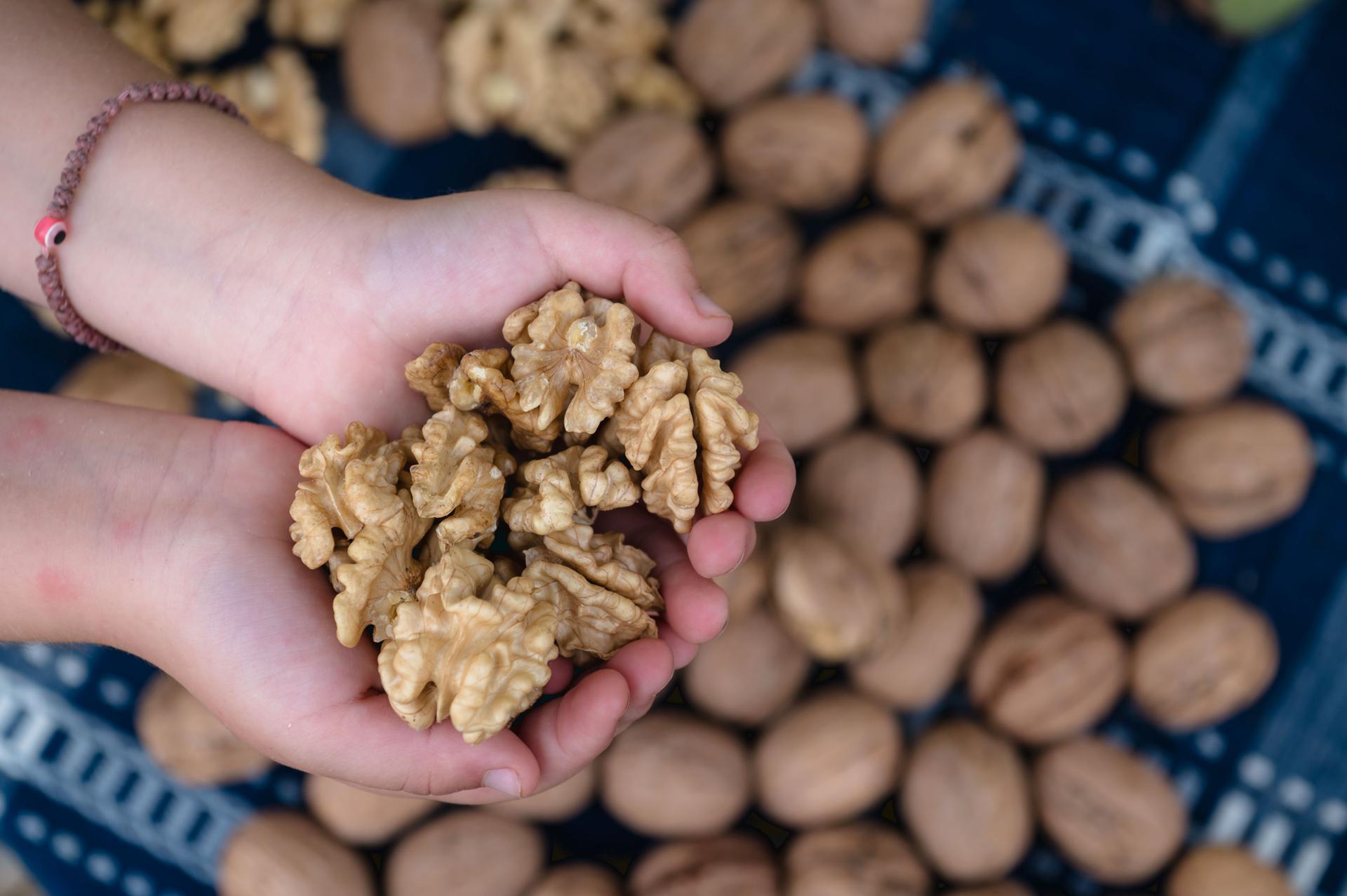 Βιολογικά Καρύδια 250g EvrosNuts