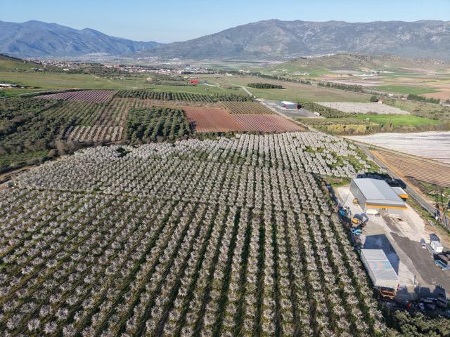 Αγρόκτημα Τριανταφύλλου | Physis Ergon