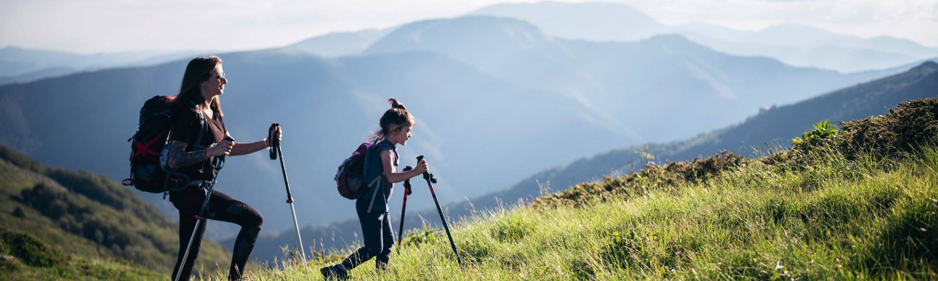 Scenic view from Allmendhubel at 1,907 meters (6,257 feet), overlooking the Swiss Alps with lush green meadows, mountain peaks, and clear blue skies.