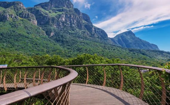 A scenic view of a curved, elevated wooden walkway with a metal mesh railing, surrounded by lush green treetops. The walkway leads towards a backdrop of rugged, vegetation-covered mountains under a bright blue sky with scattered white clouds. The scene highlights natural beauty and tranquility, perfect for elevated exploration.