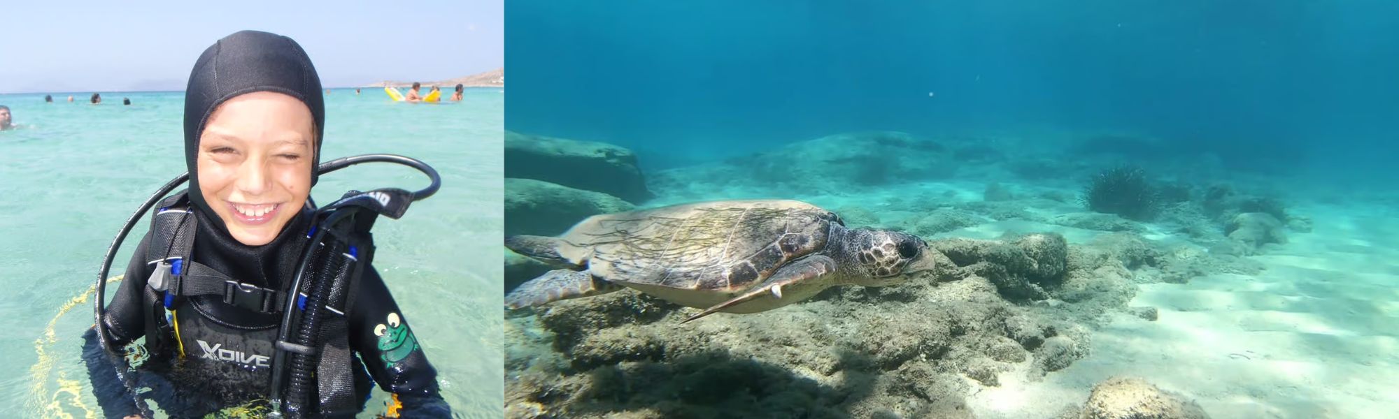 A composite image of a scuba diving experience. On the left, a smiling boy in a black wetsuit and diving gear stands waist-deep in clear turquoise water, with swimmers and a yellow inflatable boat in the background. On the right, a sea turtle swims above a sandy seabed with sunlight filtering through the vibrant turquoise water.