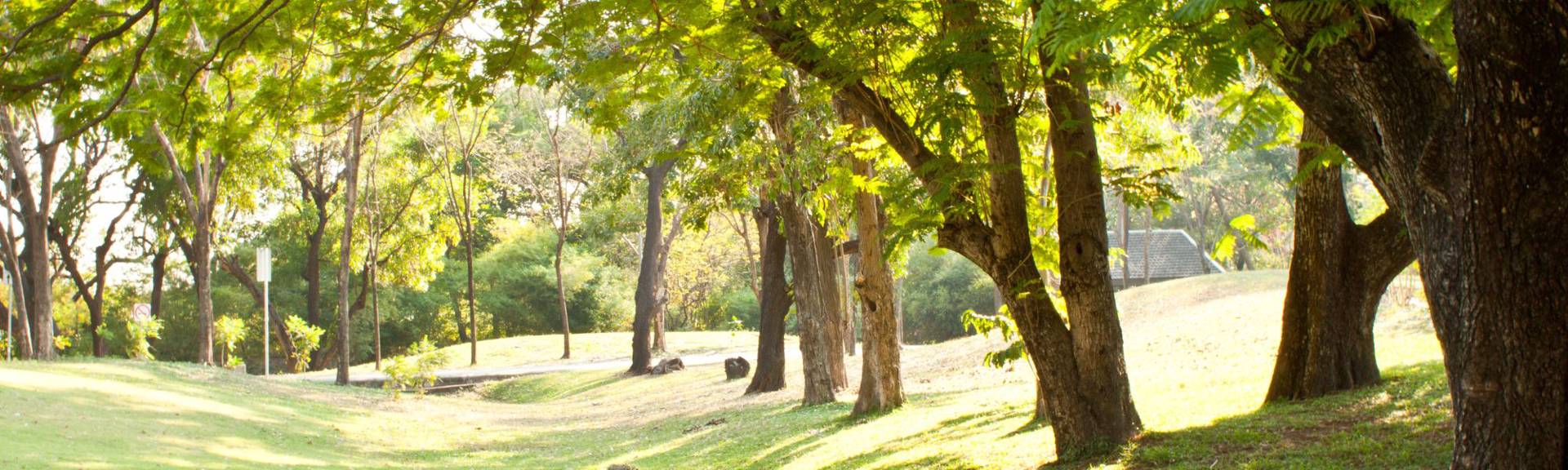 Park im Grüene