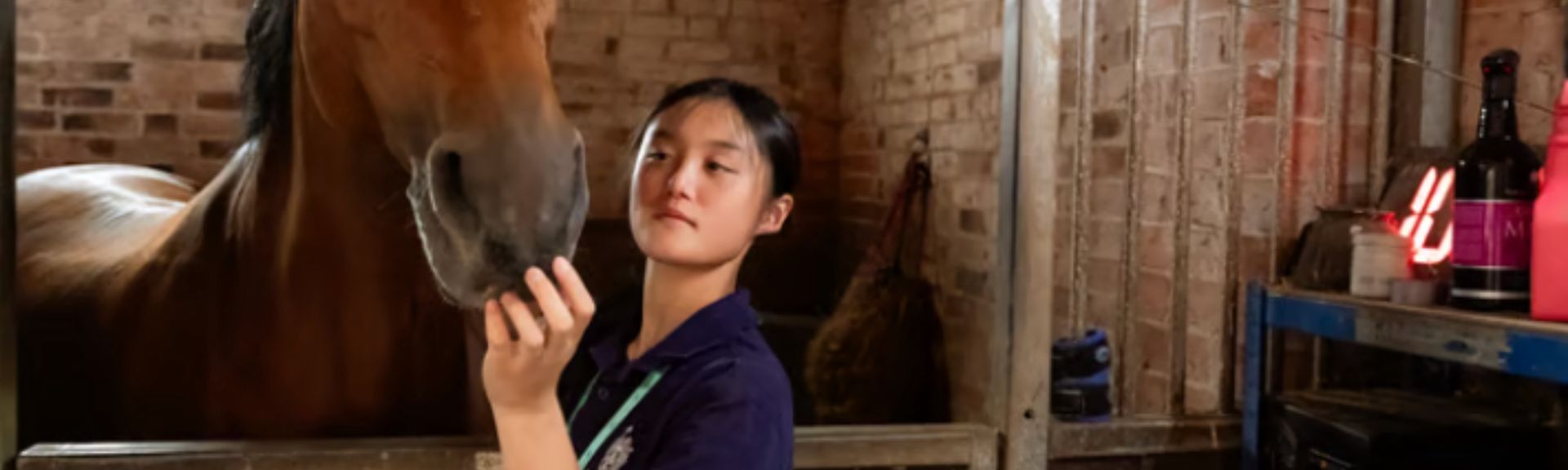 Pre Vet Course - Premium Veterinary Medicine, Zoology & Animal Sciences Summer Programme