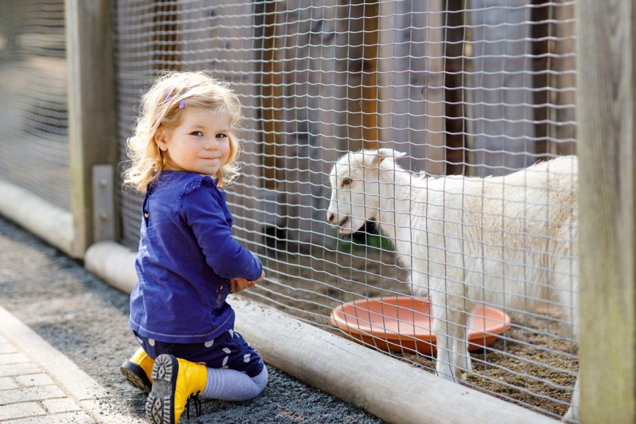 A young girl in yellow rain-boots feeding a baby goat at the farm Stiftung zur Weid in Mettmenstetten.