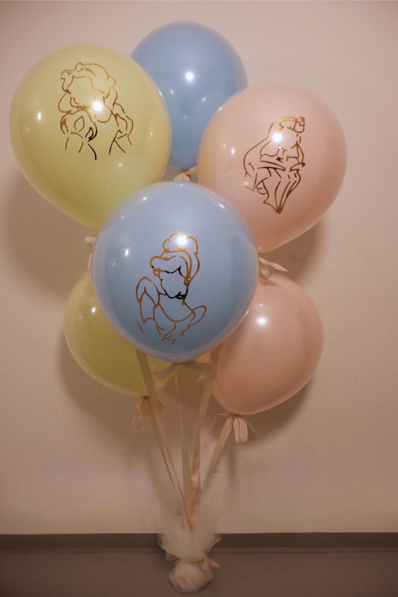 Horizon Balloon Maison