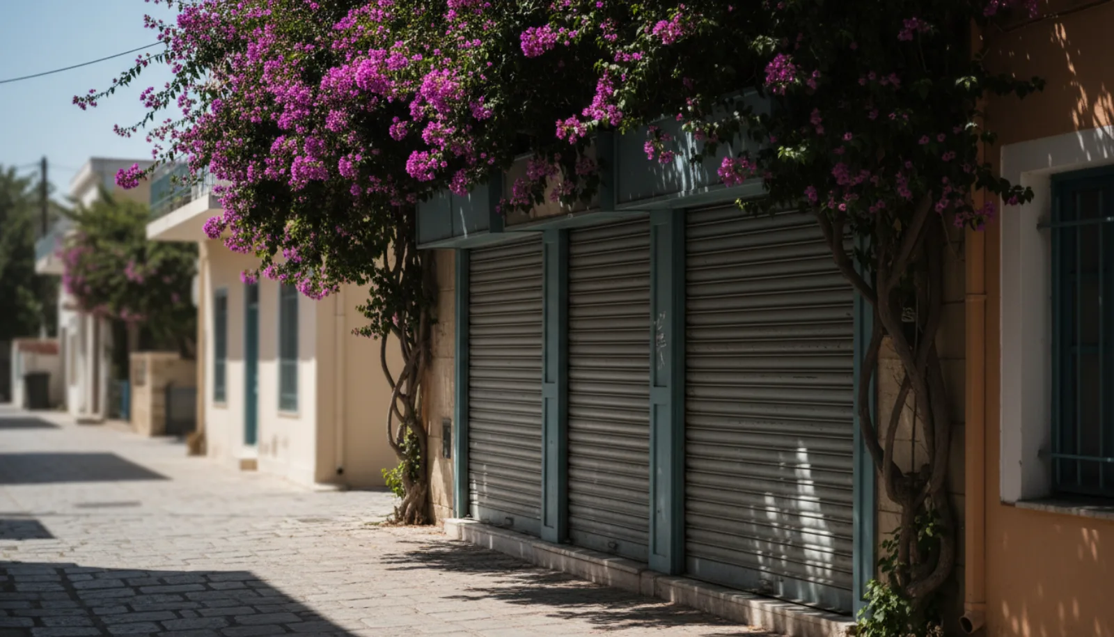 Κλειστά ρολά σε ήσυχο ελληνικό δρόμο με βουκαμβίλια στο μεσημεριανό φως του Αυγούστου.