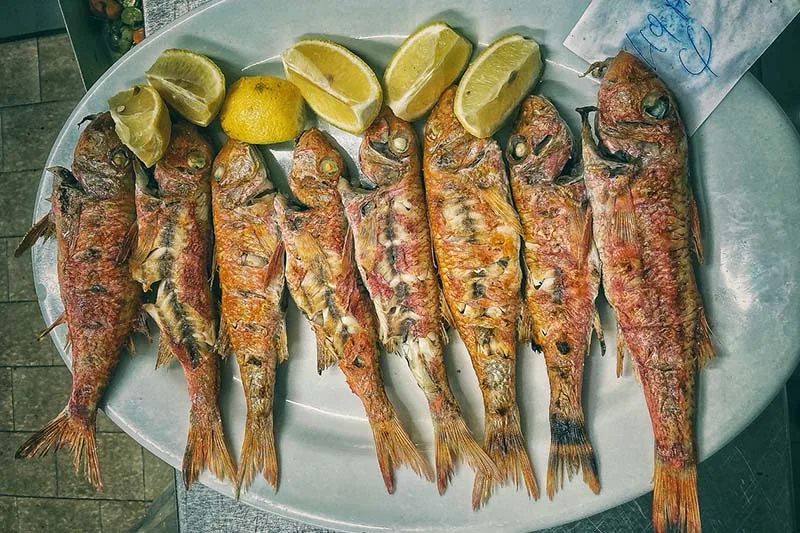 Capetan Nicolas Κουφονήσια εικόνα 7
