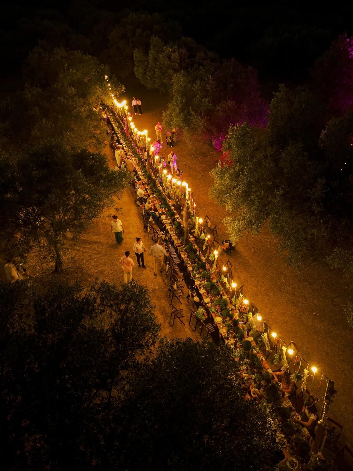 Gentlini Retreat Κεφαλονιά γάμος σε ελαιώνα φωτισμός Πάτρα Ελλάδα
