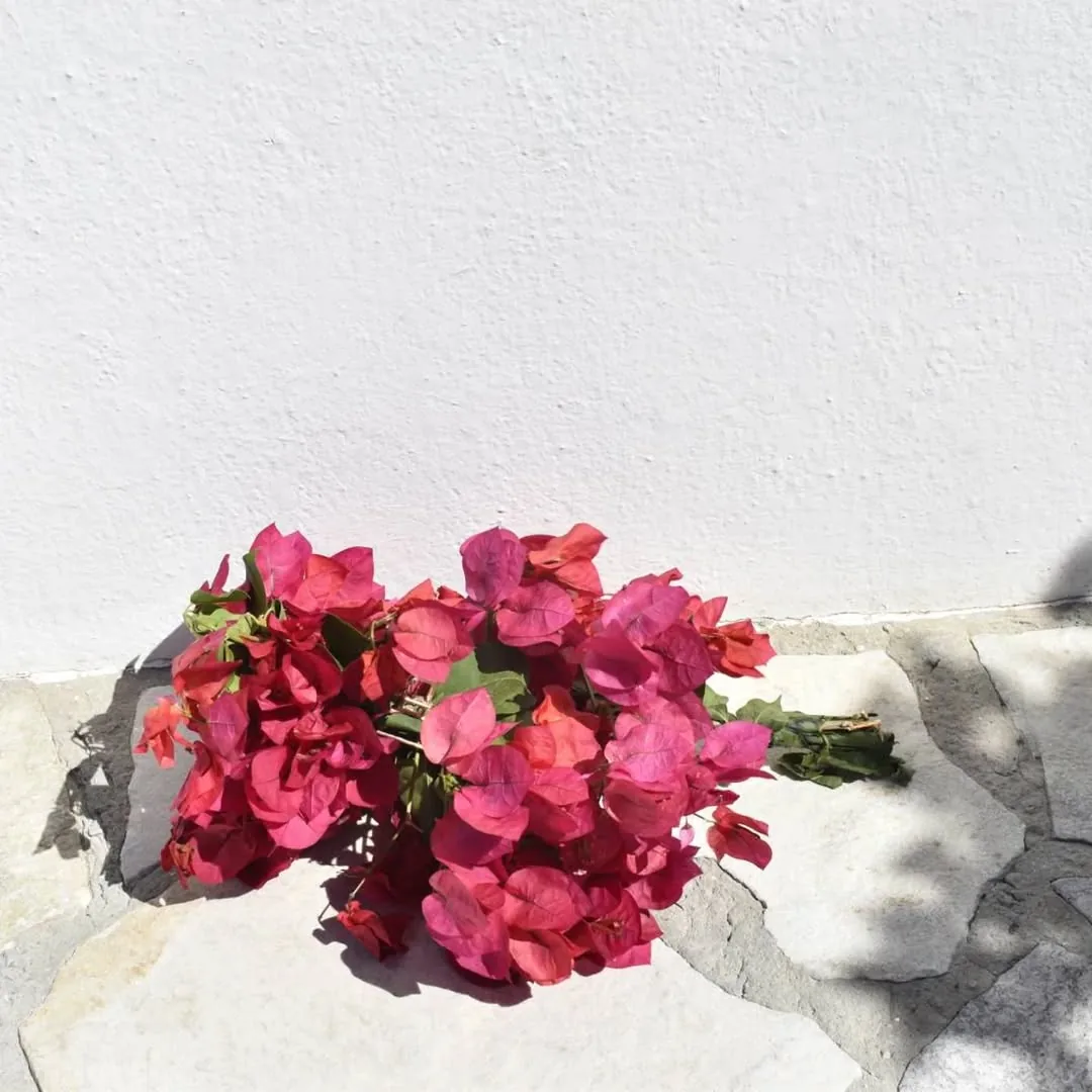 Bougainvillea wedding bouquet Ikaria island botanicals