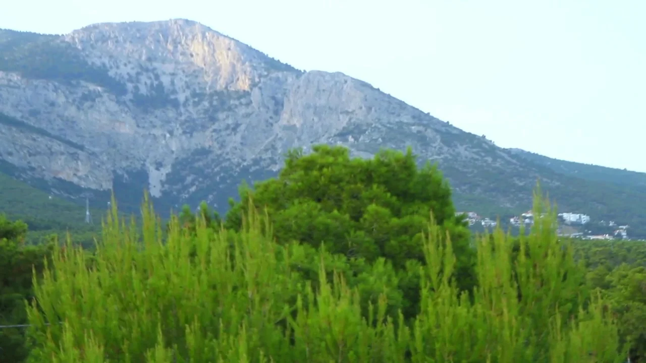 Κτήμα Carpe Diem αίθουσα δεξιώσεων — βίντεο
