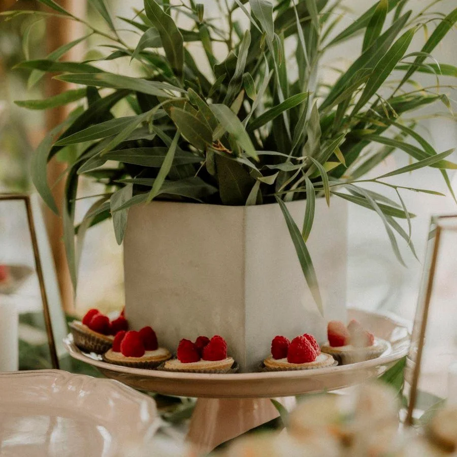 Nostos Corfu γάμος και catering εκδήλωσης