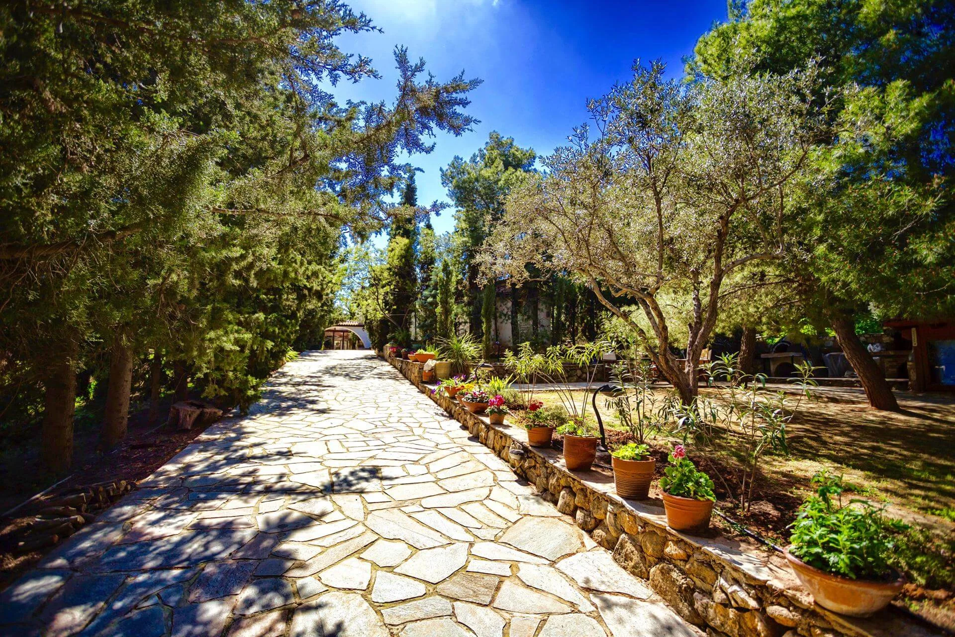 Πετρόκτιστο μονοπάτι και πισίνα Poolside Κτήμα Βέλλη
