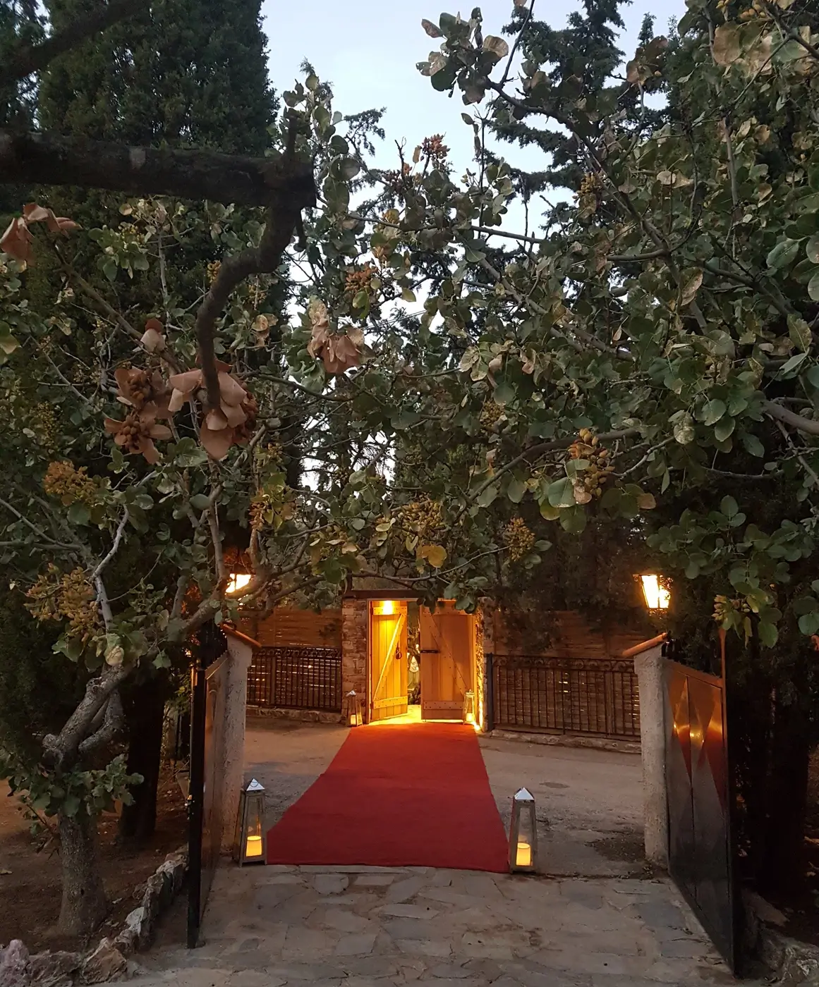 Ατμόσφαιρα γάμου στο Privé, κυπαρίσσια και πέτρα