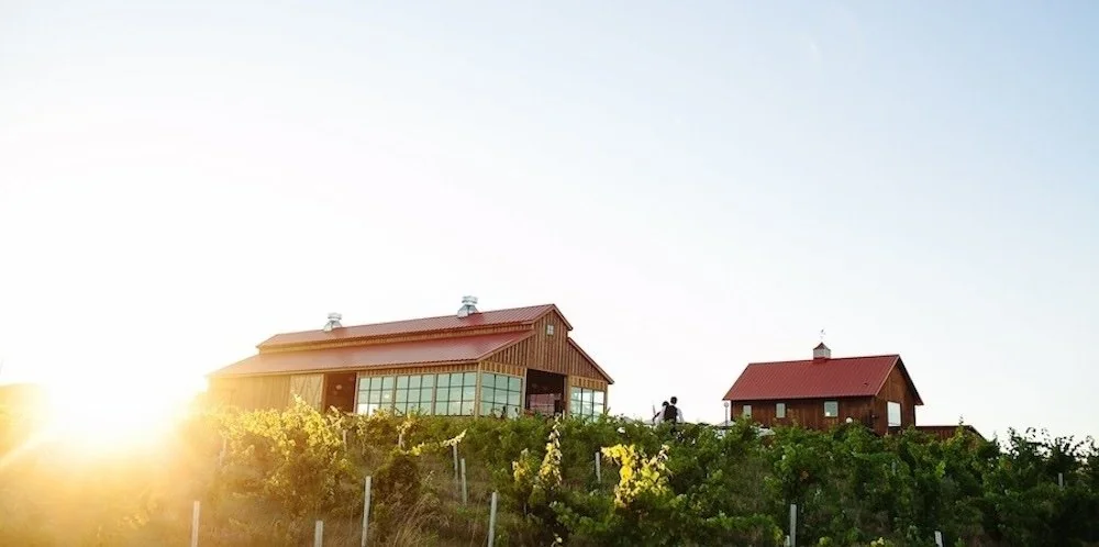 Οι αχυρώνες του Trezzi Farm πάνω από τα αμπέλια στο ηλιοβασίλεμα