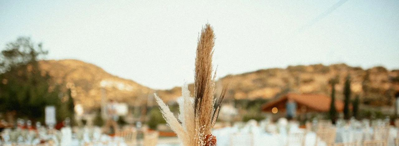Vow Events διακόσμηση τελετής και floral arch Ελλάδα