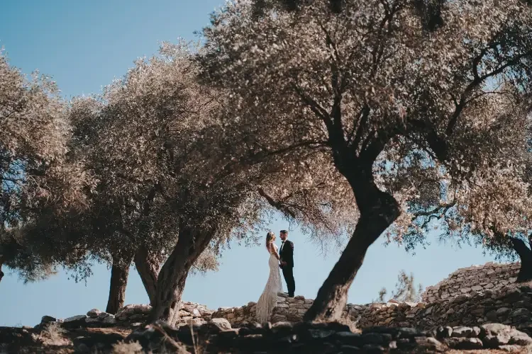 Wedding Tales Crete, ζευγάρι ανάμεσα σε αιωνόβιες ελιές στην Κρήτη