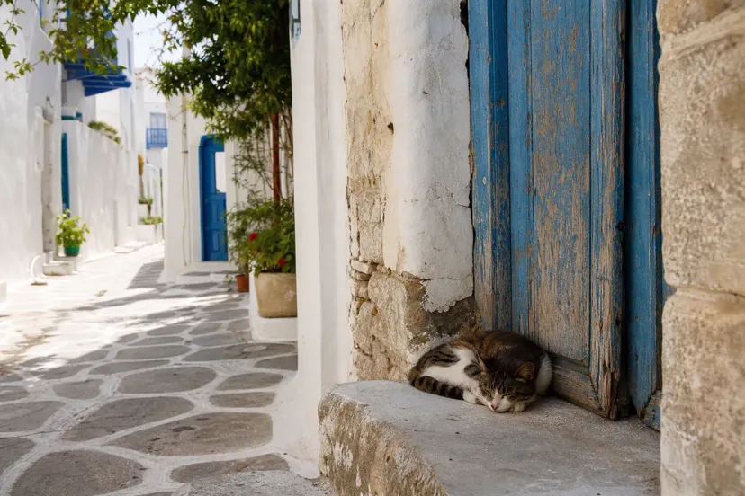 Couple standing on a whitewashed terrace overlooking a Greek island harbour, wedding planning notebook open beside them